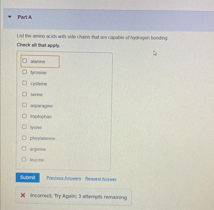 Solved Part A List the amino acids with side chains that are | Chegg.com