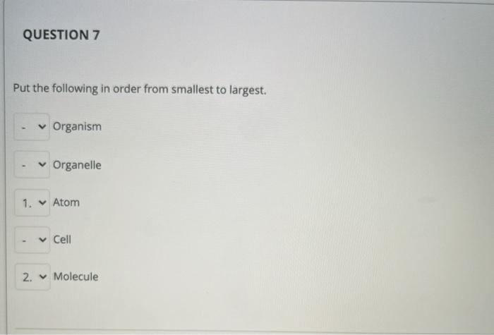 Solved QUESTION 7 Put the following in order from smallest | Chegg.com