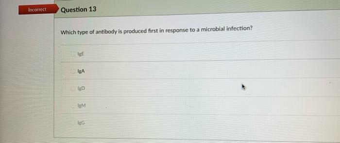 Incorrect Question 13 Which type of antibody is produced first in response to a microbial infection? IgE IgA les IM ARG