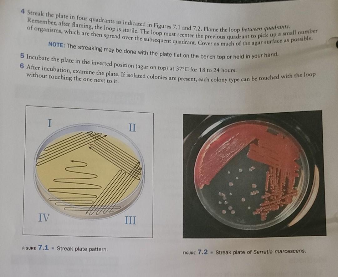 Solved Pure Culture Technique (Streak Plate) Overview In