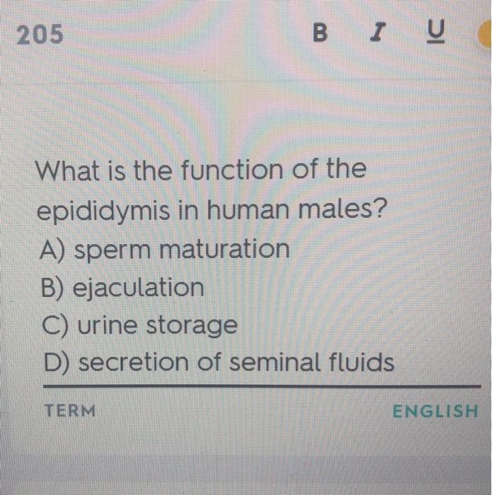 Bi Sperm