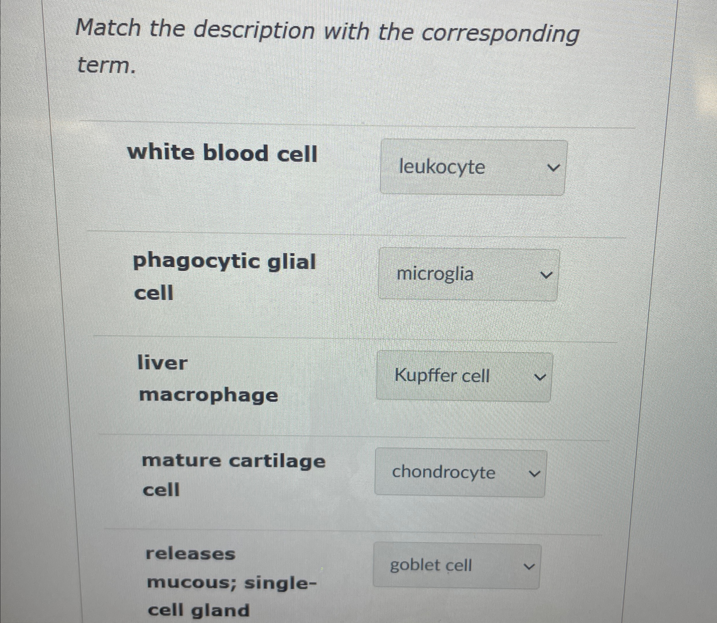 Solved Match the description with the corresponding | Chegg.com