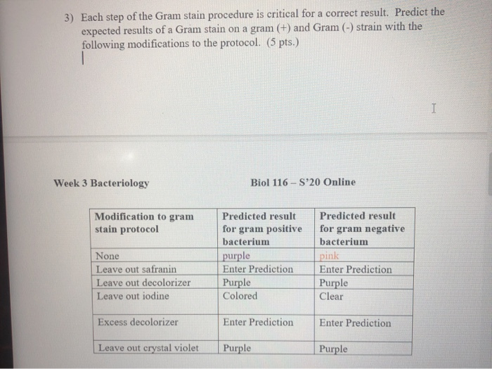 Solved 3) Each step of the Gram stain procedure is critical | Chegg.com