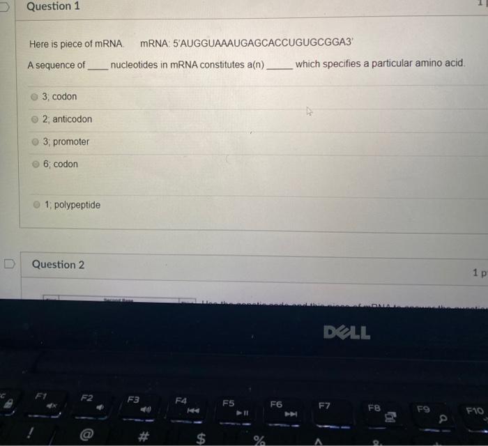 Solved Question 1 Here is piece of mRNA mRNA 5 | Chegg.com