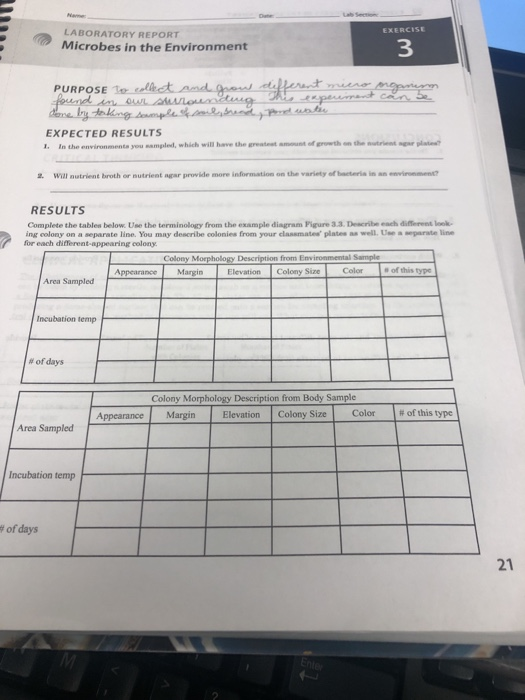 EXERCISE LABORATORY REPORT Microbes in the | Chegg.com