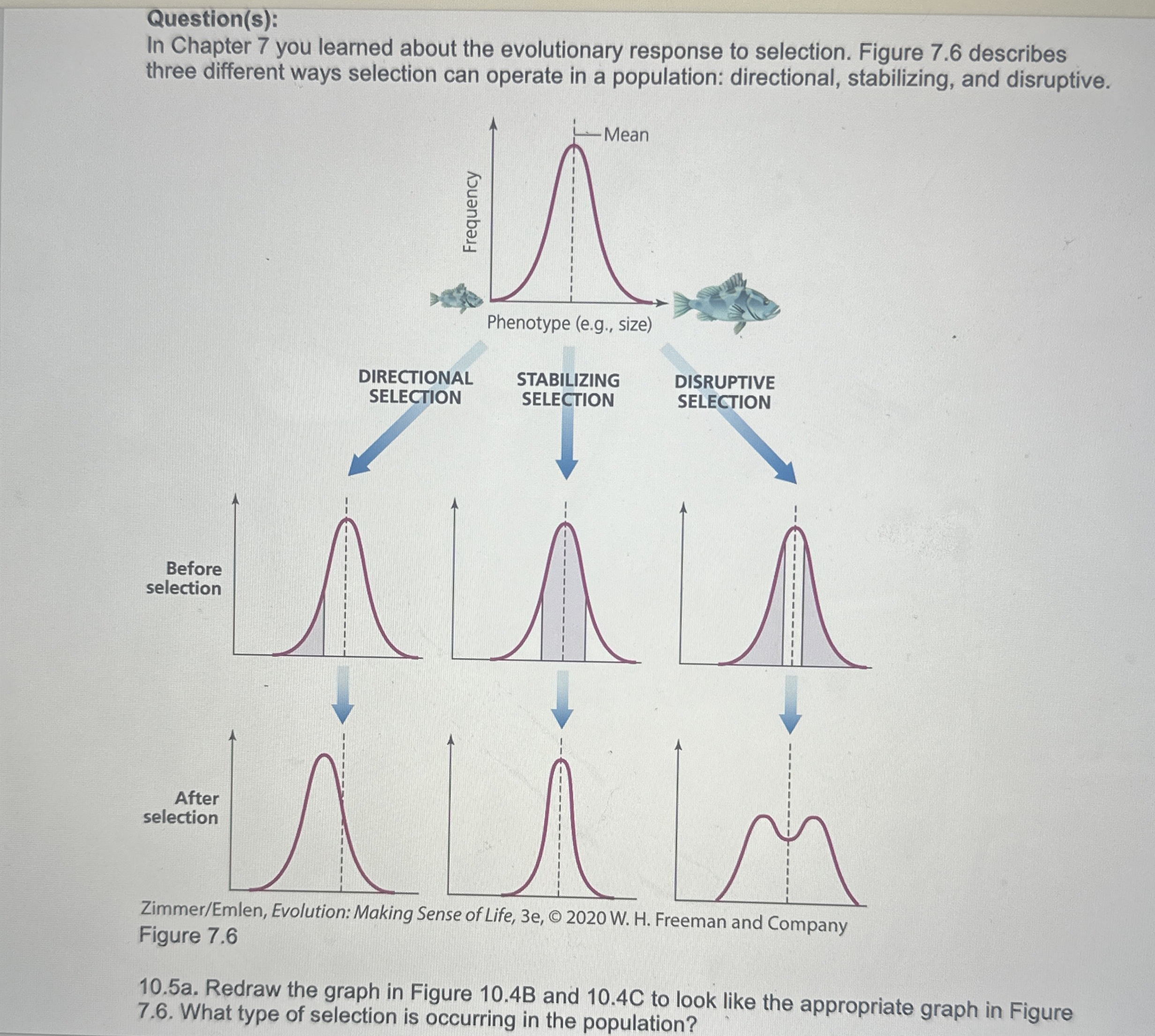 Solved Question(s):In Chapter 7 ﻿you learned about the | Chegg.com