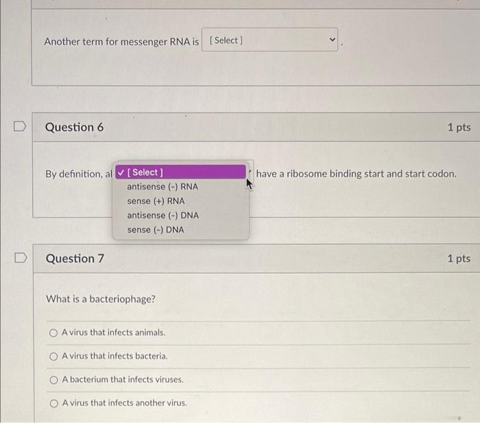 Solved Question 5 1 pts Another term for messenger RNA: | Chegg.com