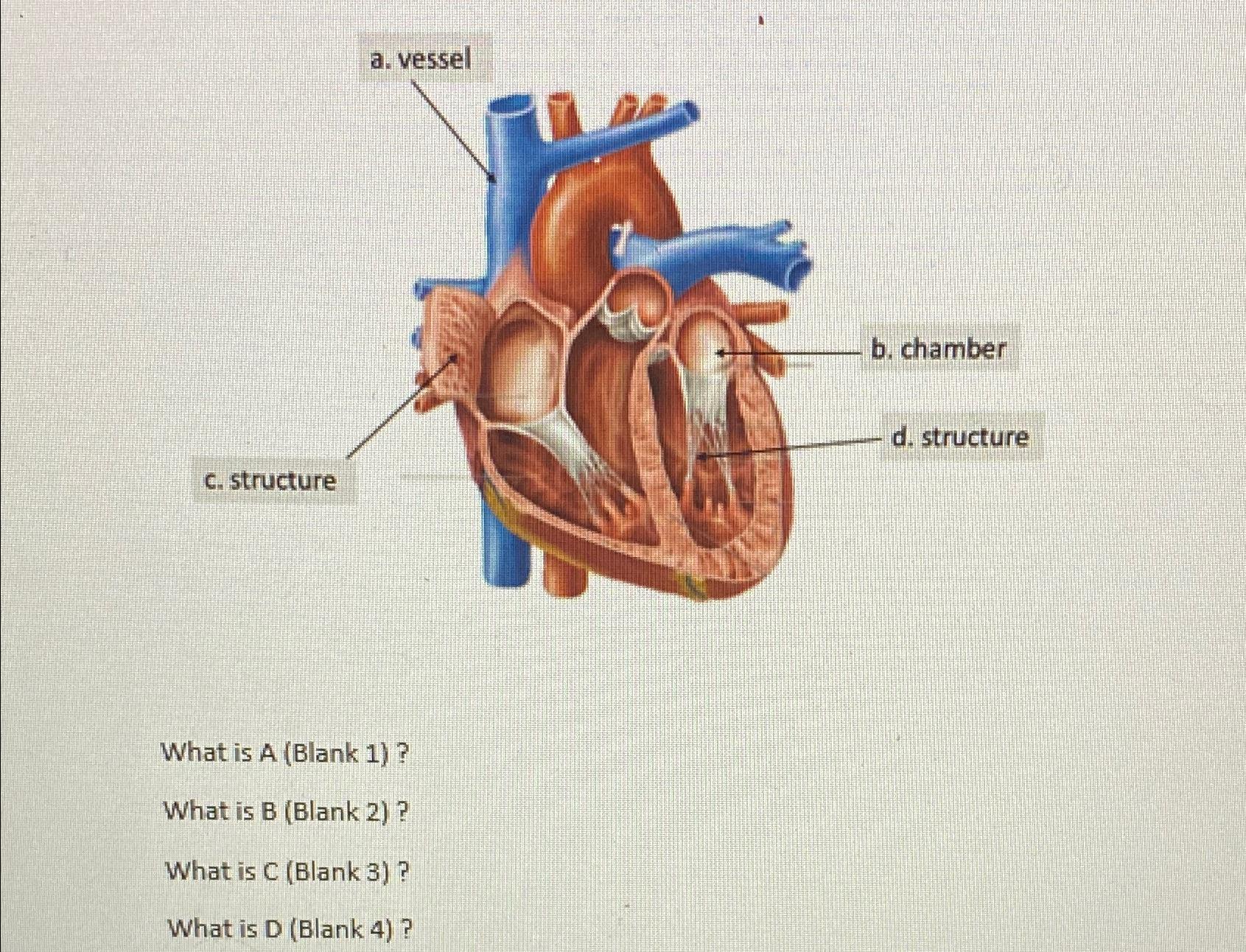 Solved What is A (Blank 1) ?What is B (Blank 2)?What is