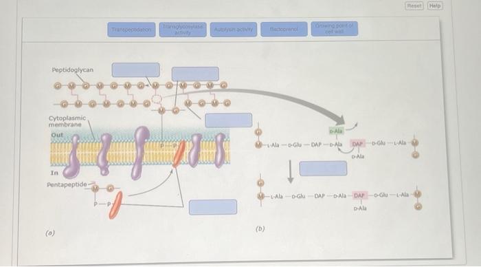 Solved match | Chegg.com