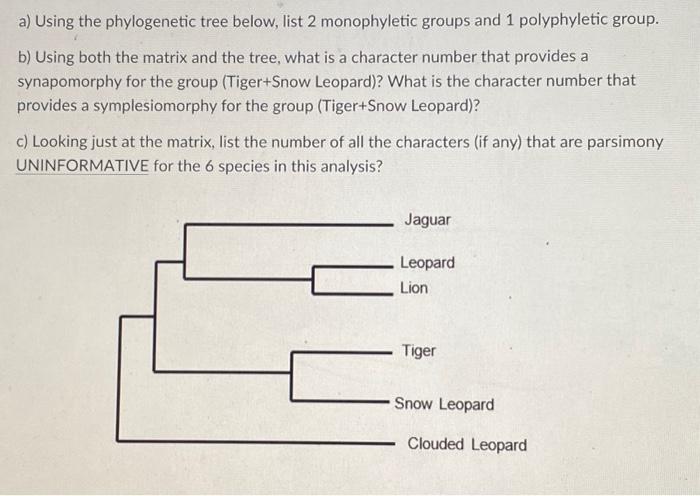 Solved a) Using the phylogenetic tree below, list 2 | Chegg.com