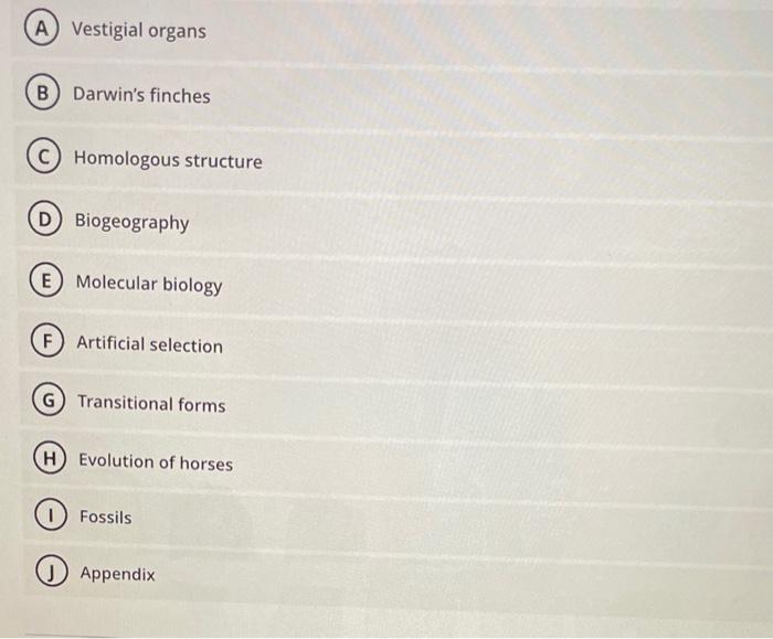 Vestigial organs
Darwins finches
Homologous structure
D Biogeography
Molecular biology
Artificial selection
Transitional for