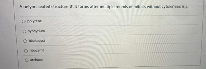 Solved A polynucleated structure that forms after multiple | Chegg.com