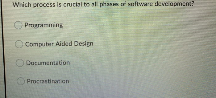 Solved Which process is crucial to all phases of software | Chegg.com