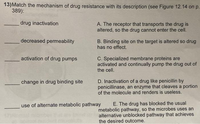 Solved 13)Match the mechanism of drug resistance with its | Chegg.com
