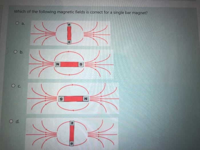 Solved Which of the following fields is correct for