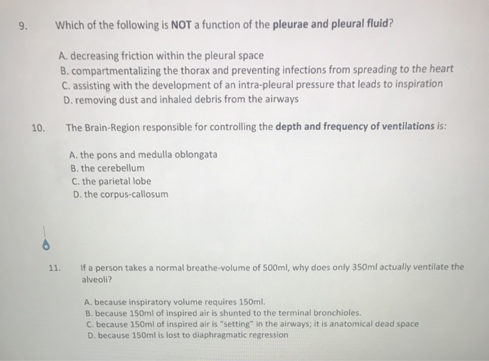 visceral-pleura-function