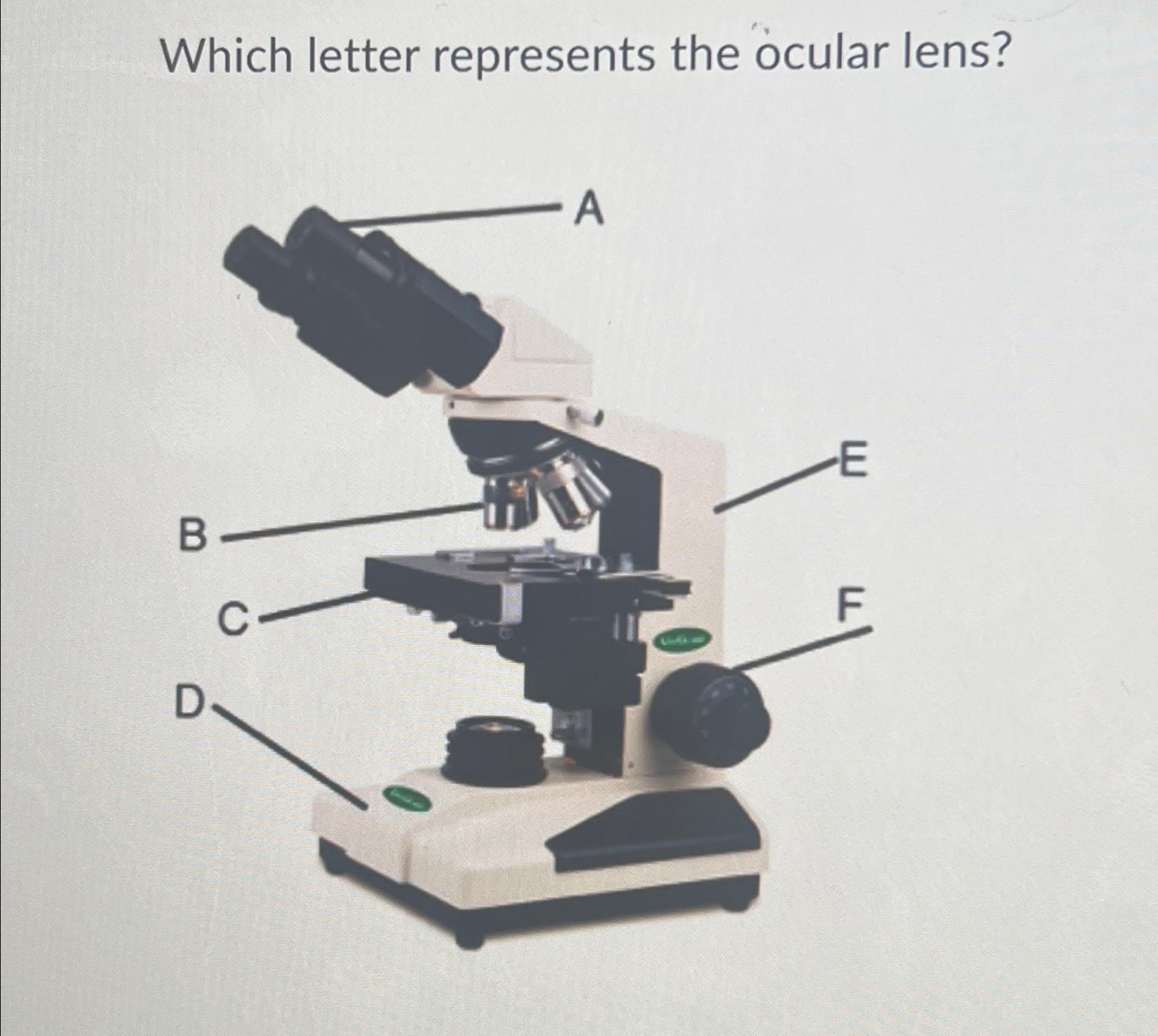 Solved Which letter represents the ocular lens?