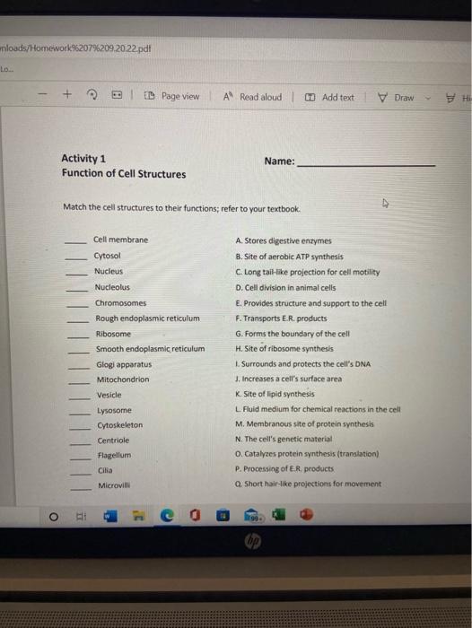 Solved Match the cel structures to their functions; refer to | Chegg.com