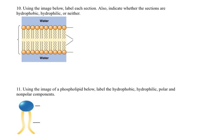 10 Using The Image Below Label Each Section Also Chegg 