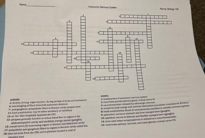 solved-name-autonomic-nervous-system-renna-biology-100-10-chegg