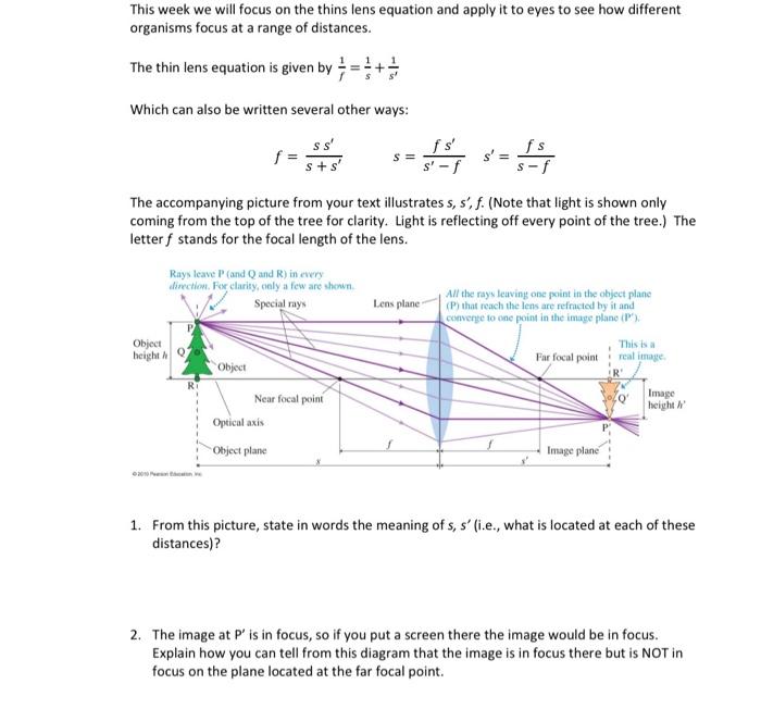 Solved This Week We Will Focus On The Thins Lens Equation | Chegg.com