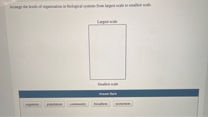 arrange the levels of organization from simplest to most complex