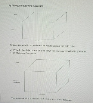 Solved Topic: Data Cubes and Data WarehouseImportant: • | Chegg.com