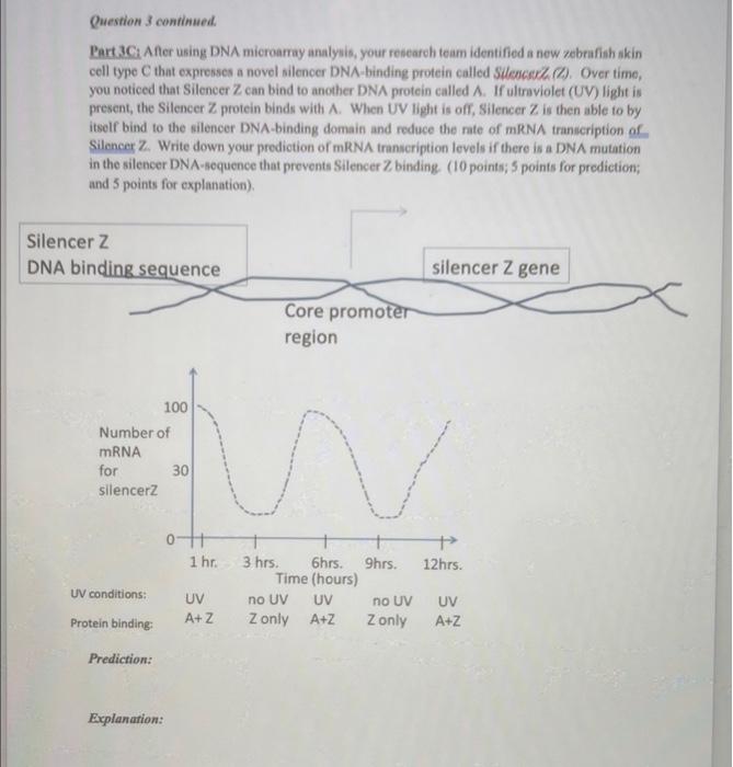 skinny genes case study answers