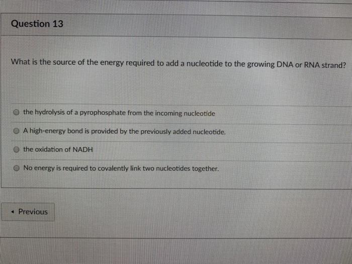Question 13 What is the source of the energy required to add a nucleotide to the growing DNA or RNA strand? the hydrolysis of