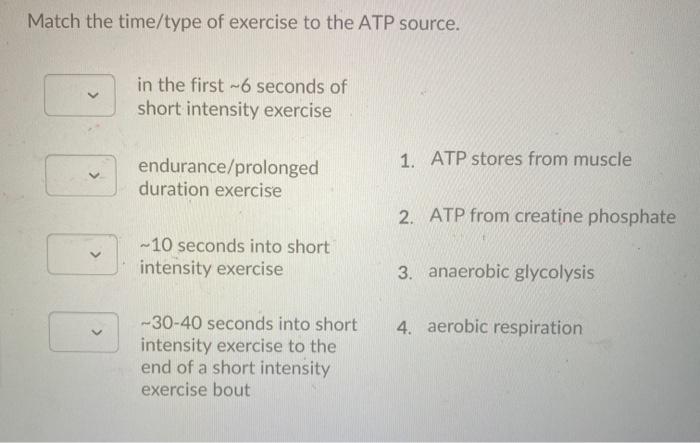Solved Match the time/type of exercise to the ATP source. in | Chegg.com