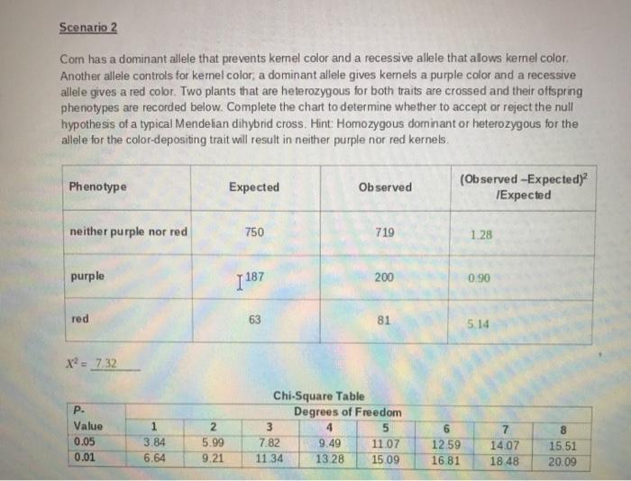 solved-scenarios-and-calculations-scenario-1-albinism-is-a-chegg
