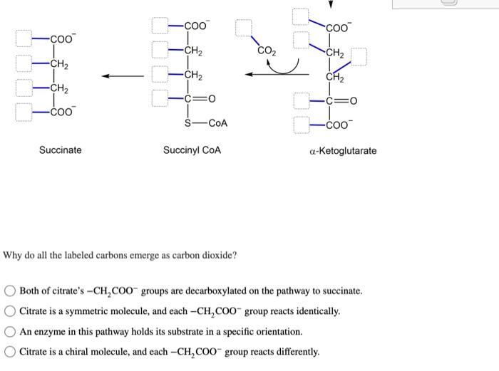 In experiments carried out in 1941 to investigate the | Chegg.com