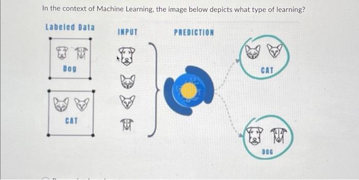 Solved In the context of Machine Learning, the image below | Chegg.com