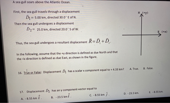 Solved A Sea Gull Soars Above The Atlantic Ocean N Y Chegg Com