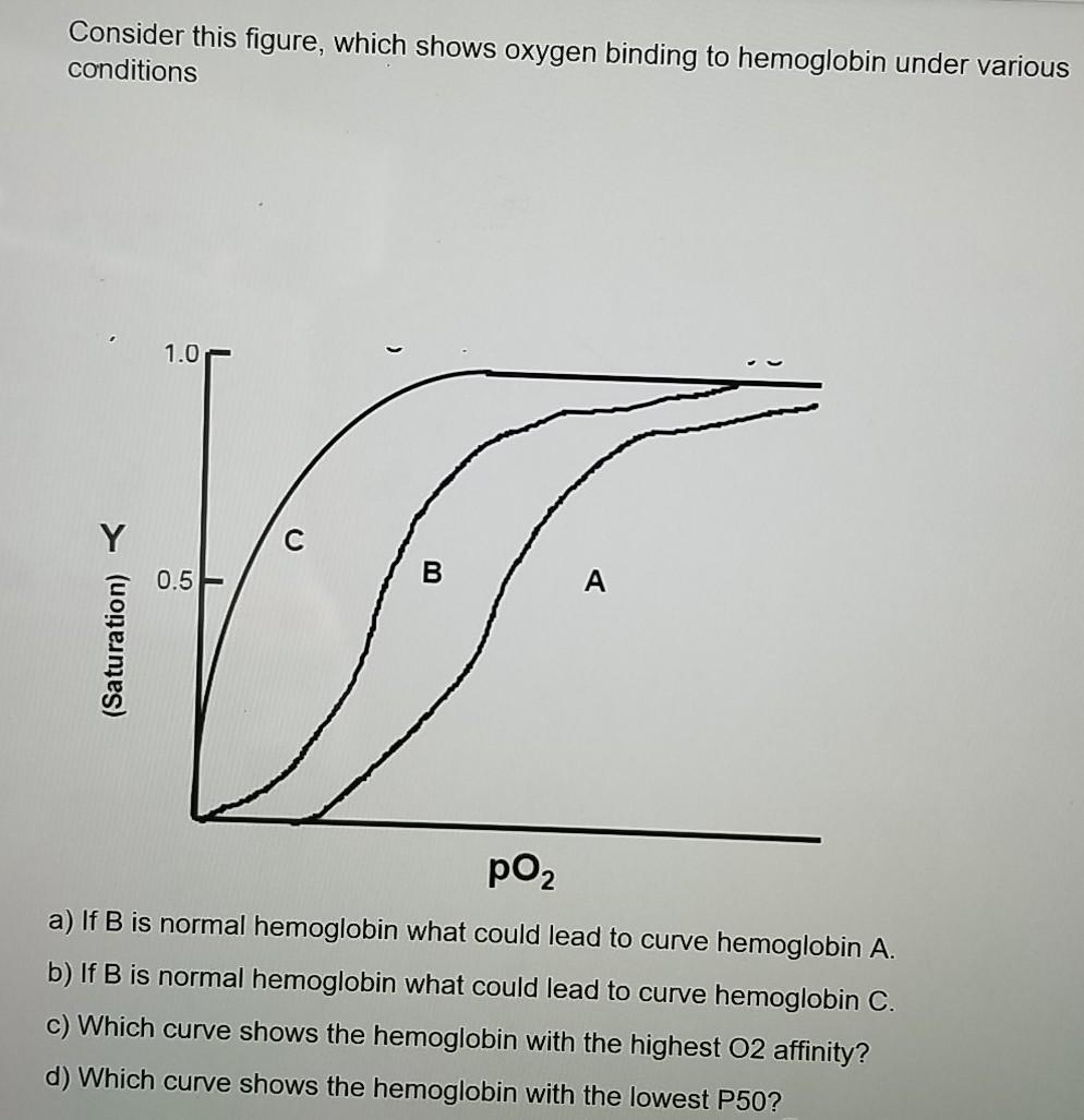 Solved Consider this figure, which shows oxygen binding to | Chegg.com