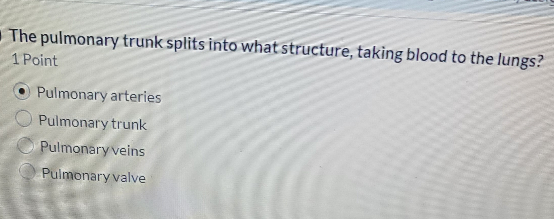 Solved The pulmonary trunk splits into what structure, | Chegg.com
