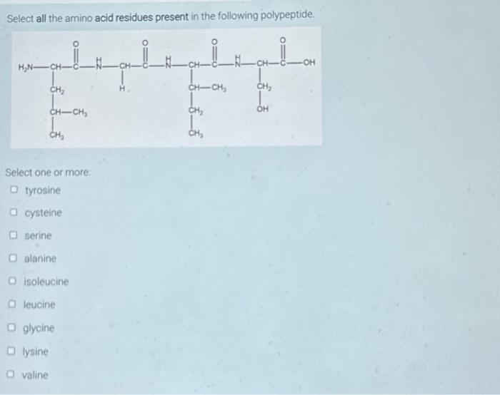 Solved Select all the amino acid residues present in the | Chegg.com