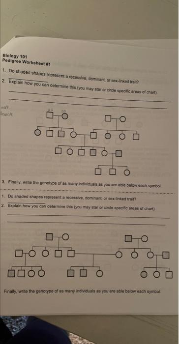 Biology 101
Pedigroe Worksheot \#1
1. Do shaded shapes represent a rocessive, dom rant, or sex-inked trai??
2. Explain how yo