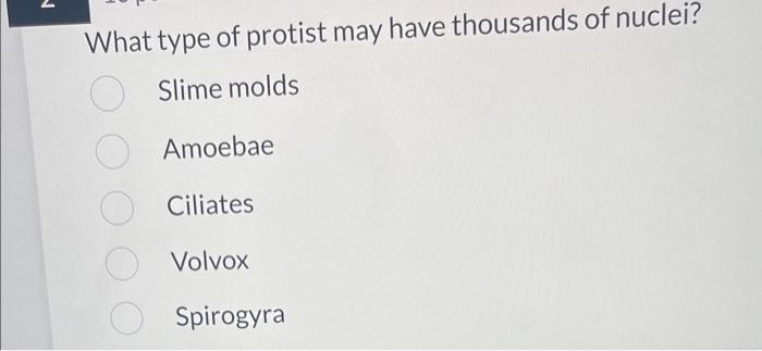 Solved What type of protist may have thousands of nuclei? | Chegg.com