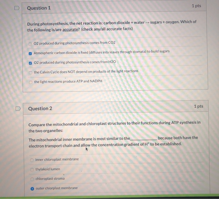 Solved will you answer the following 17 questions, so i can | Chegg.com
