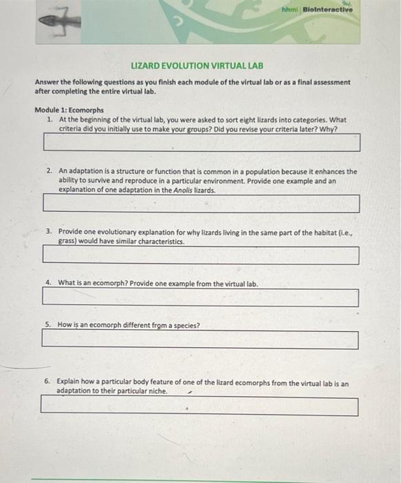 LIZARD EVOLUTION VIRTUAL LAB
Answer the following questions as you finish each module of the virtual lab or as a final assess