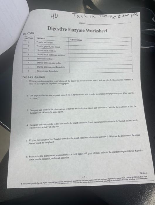 Solved Digestive Enzyme Worksheet PostLabiQuestions any,