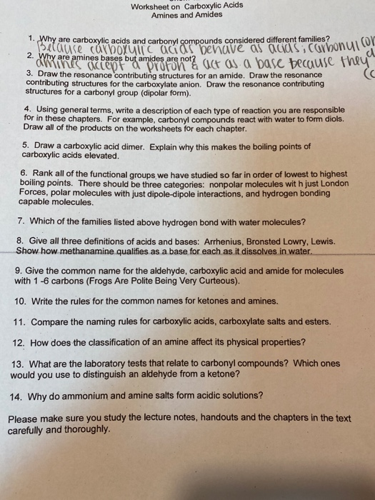 Solved Worksheet on Carboxylic Acids Amines and Amides a 1. | Chegg.com