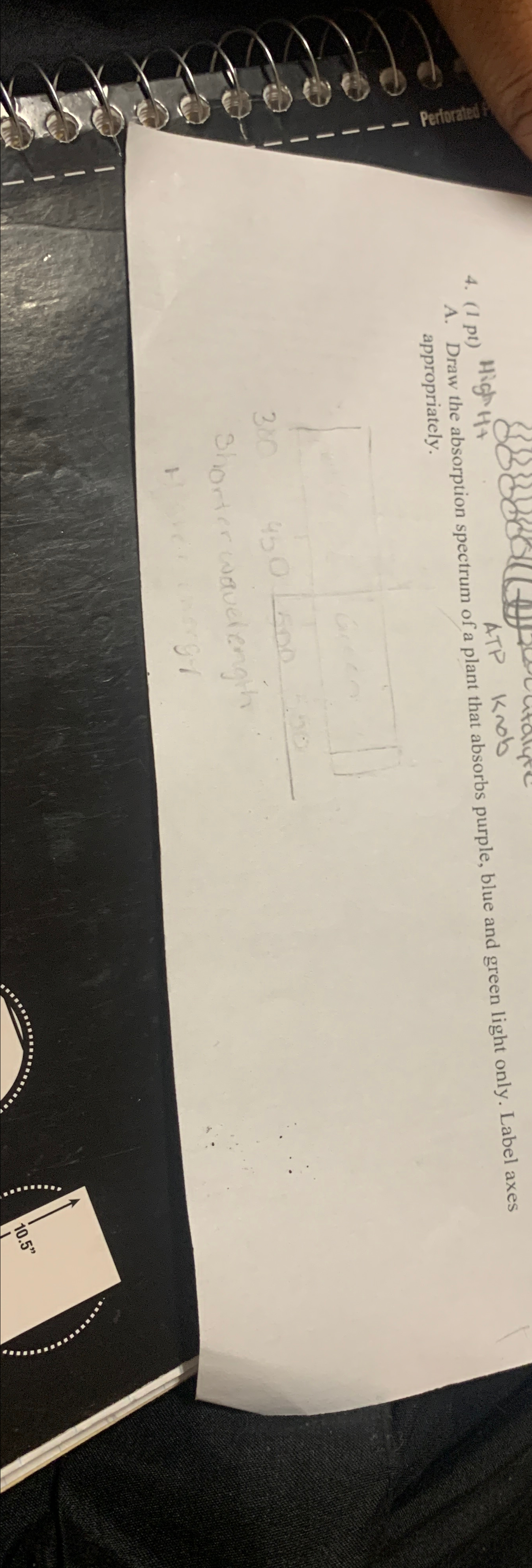 Solved (1pt) ﻿High H- ﻿ATP KNObA. ﻿Draw the absorption | Chegg.com