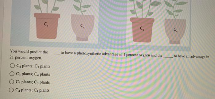 Solved Suppose you set up an experiment, as illustrated in | Chegg.com
