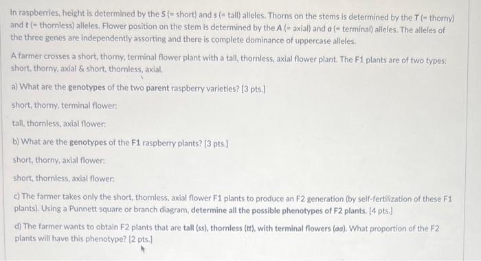 Solved In raspberries, height is determined by the S (= | Chegg.com