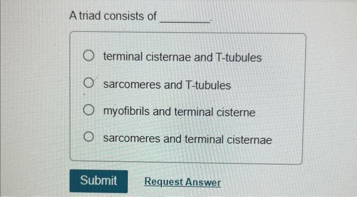 Solved A triad consists of terminal cisternae and T-tubules | Chegg.com