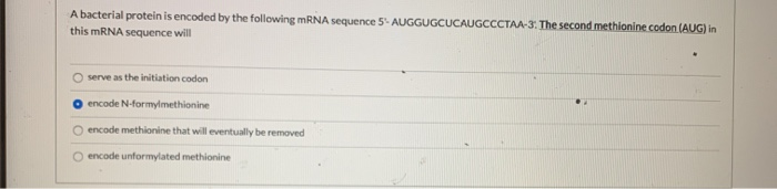 Solved A bacterial protein is encoded by the following mRNA | Chegg.com