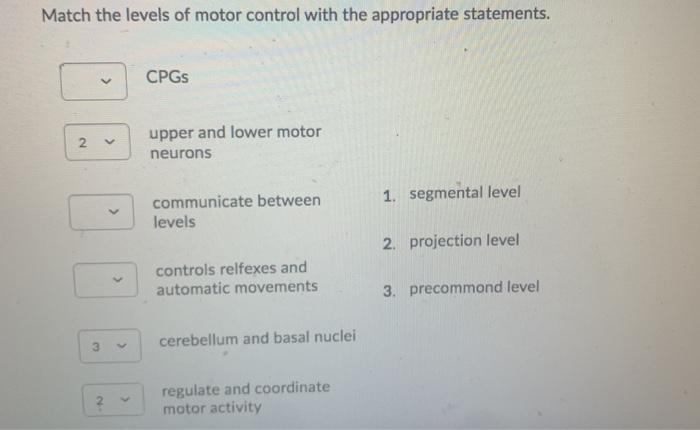 Solved Match the levels of motor control with the | Chegg.com