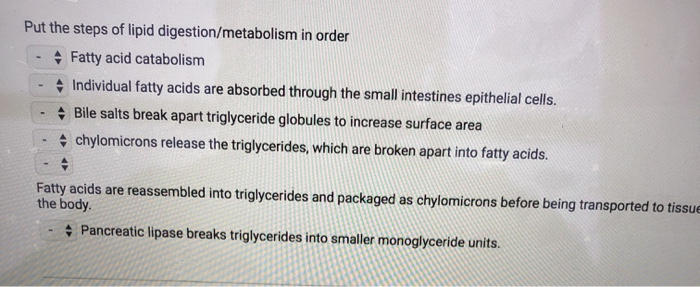 Solved Put the steps of lipid digestion/metabolism in order | Chegg.com